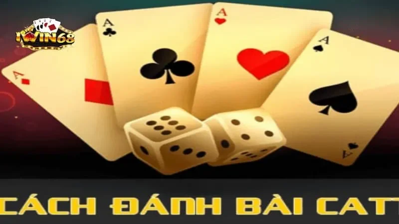 Catte Iwin68 - Khám Phá Thông Tin Về Game Bài Hấp Dẫn 7 Cách chơi bài catte iwin68 cho tân thủ
